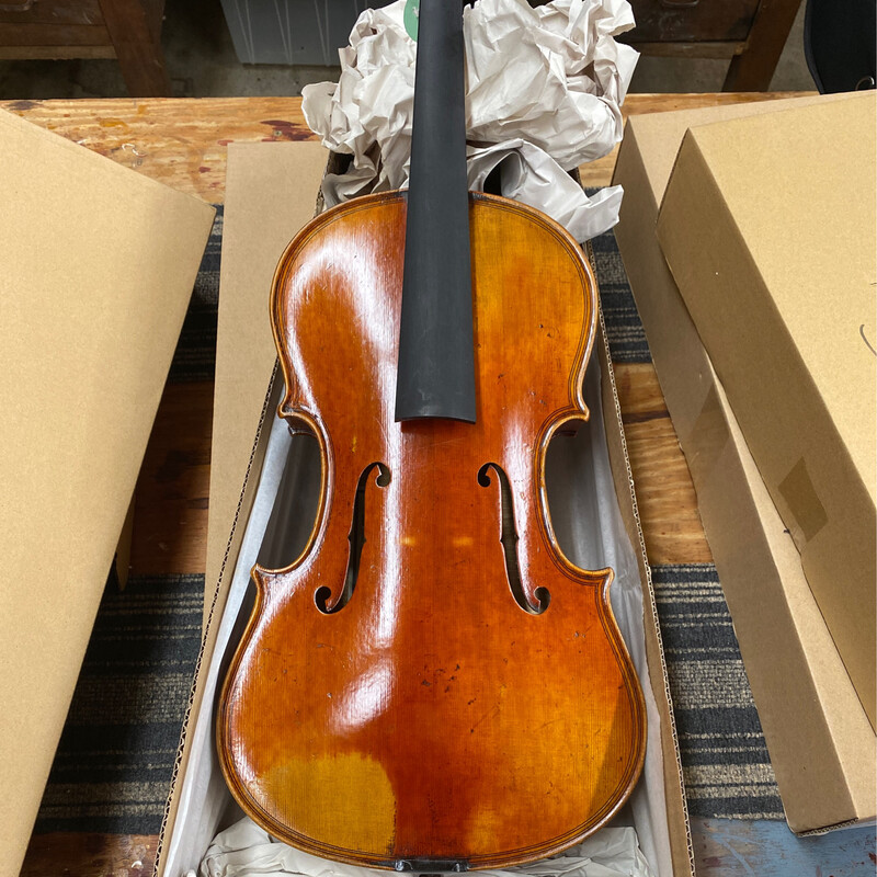 JAY HAIDE &quot;special&quot; EURO Maginni Viola “S” Model