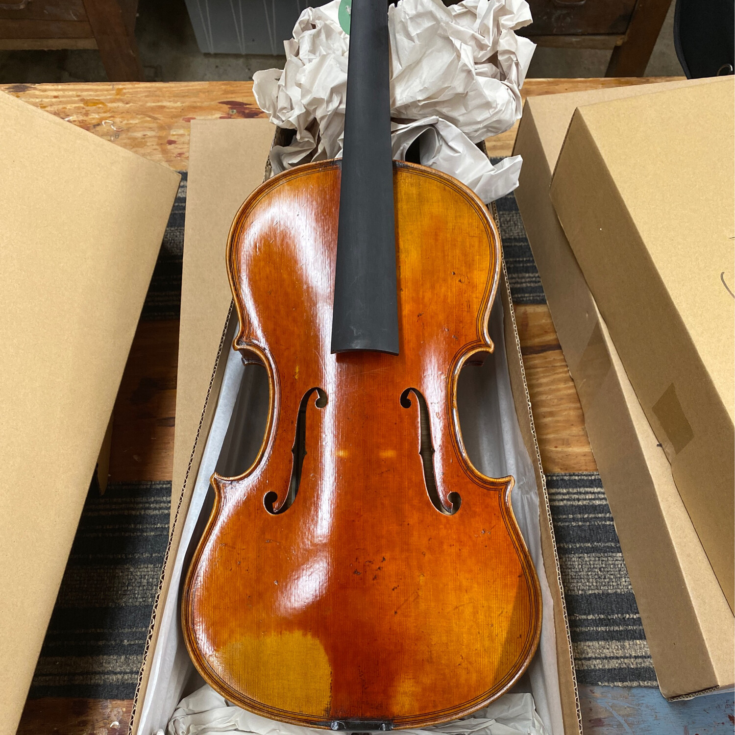 JAY HAIDE &quot;special&quot; EURO Maginni Viola “S” Model