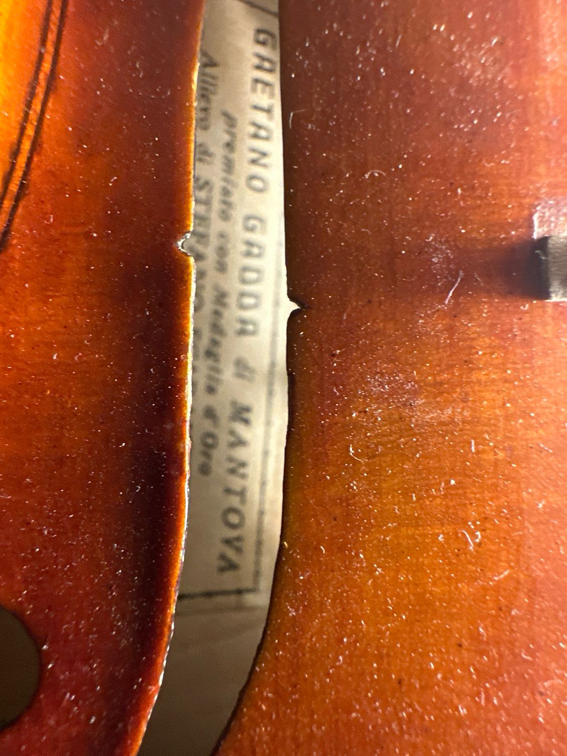 G. Gadda