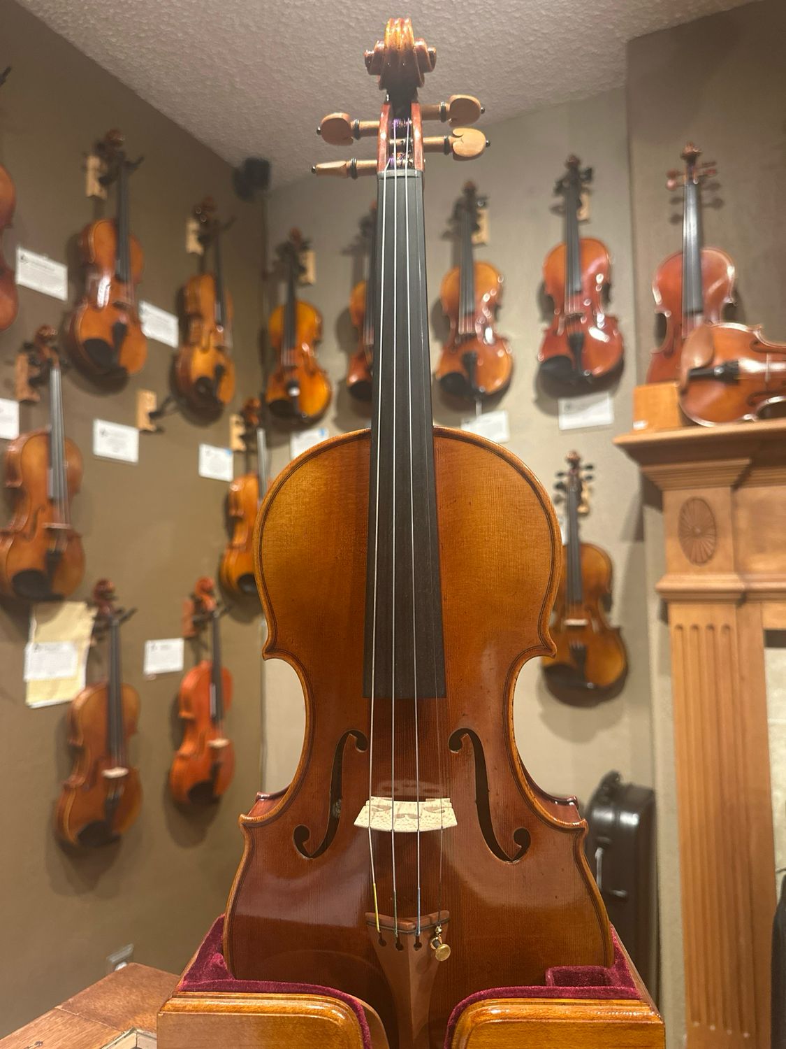 Scott Cao Artist Series 950 violin Morgan hill, CA 2024.