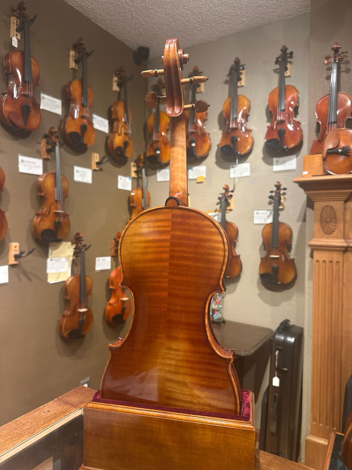 Scott Cao Artist Series 950 violin Morgan hill, CA 2024.