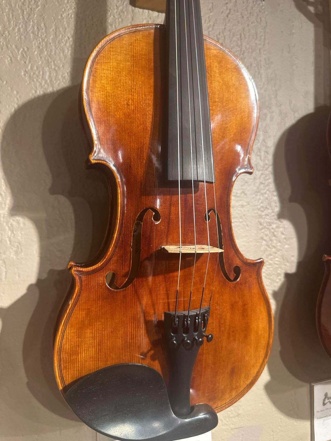 Revelle 600 Violin