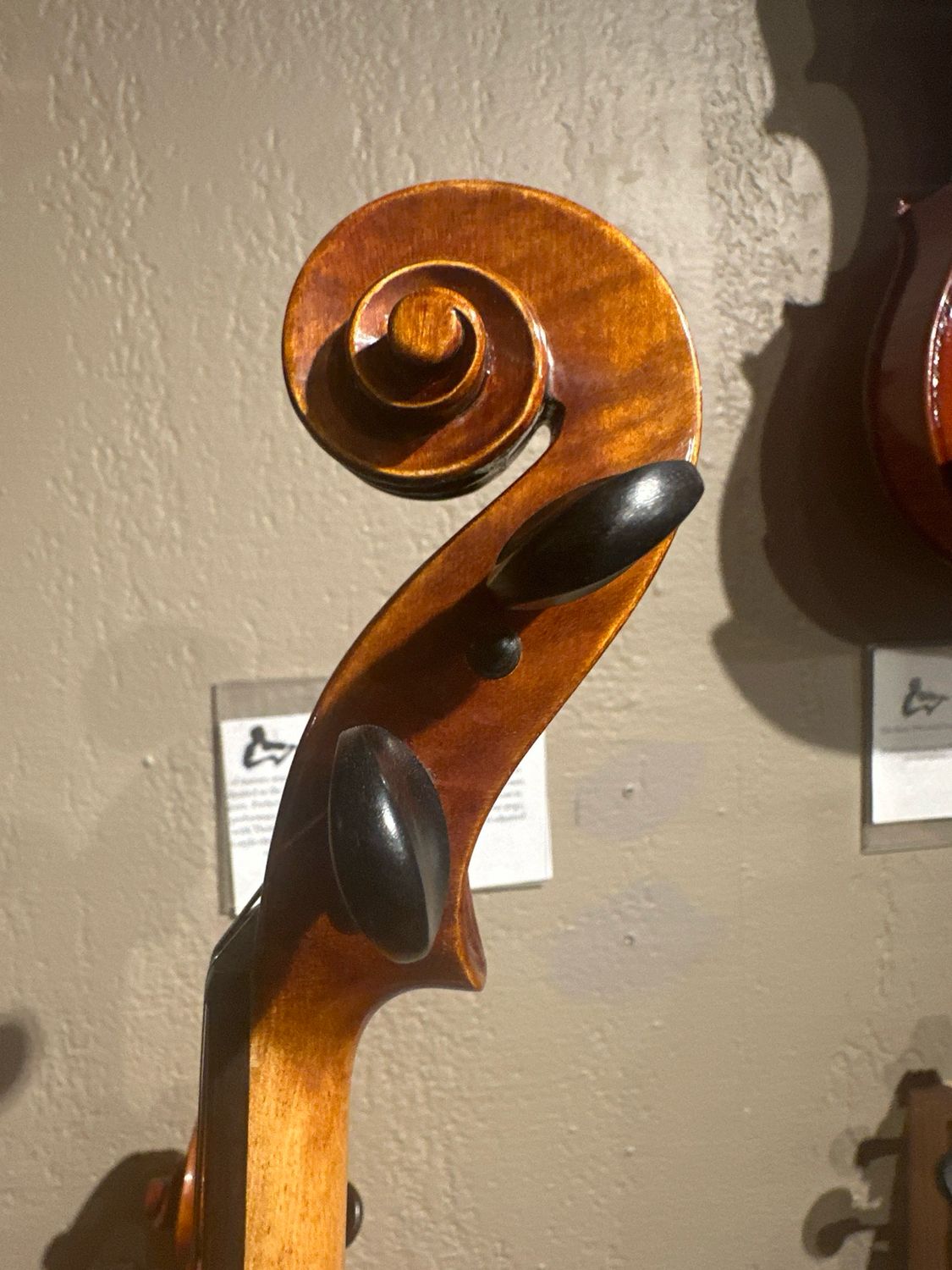 Revelle 600 Violin
