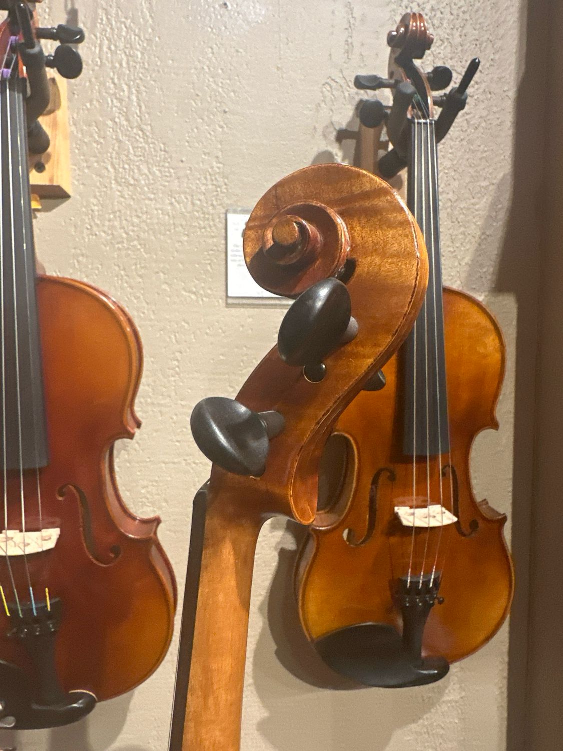 Revelle model 500 Violin (pick outfit)