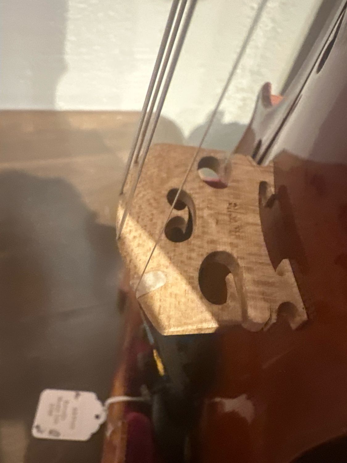 Revelle model 500 Violin (pick outfit)