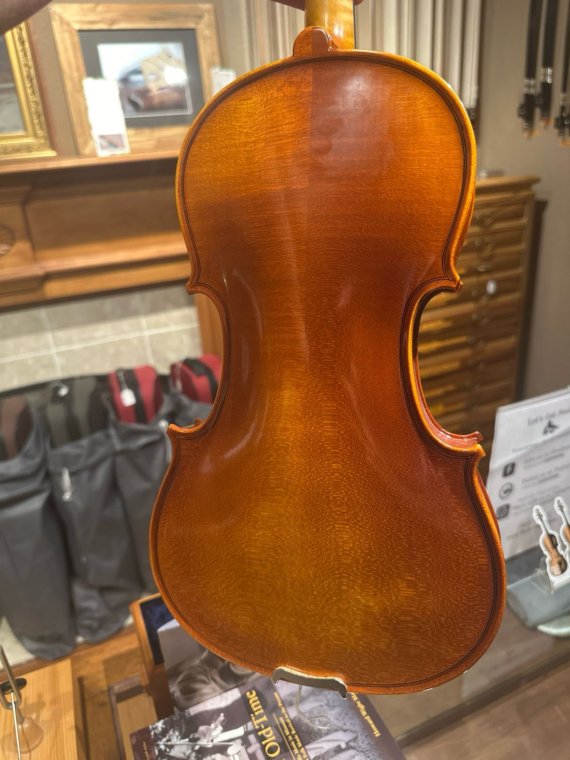 Revelle model 300 Violin (pick outfit)