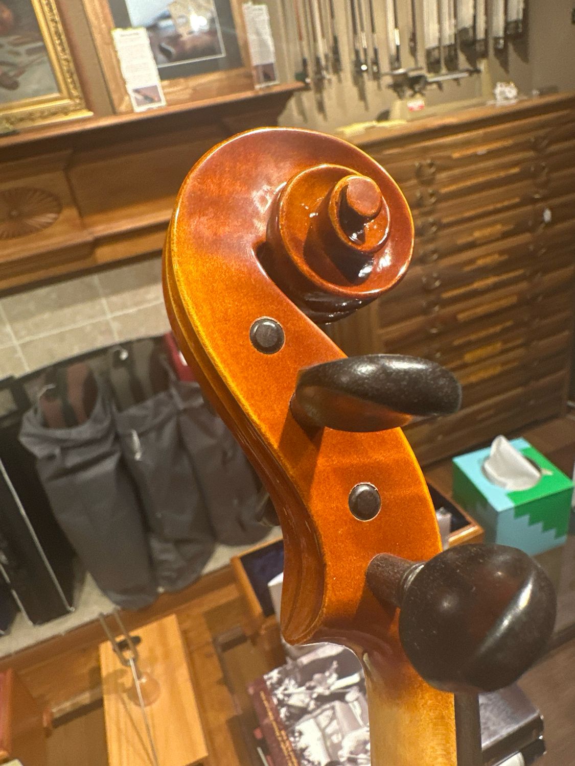 Revelle model 300 Violin (pick outfit)