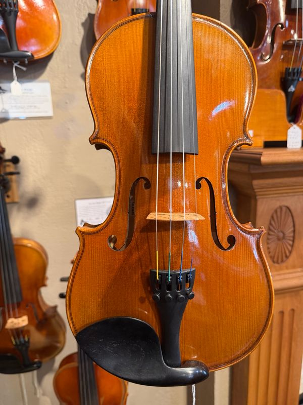 Revelle model 305 Violin (pick outfit) Revelle model 305 Violin (pick outfit)