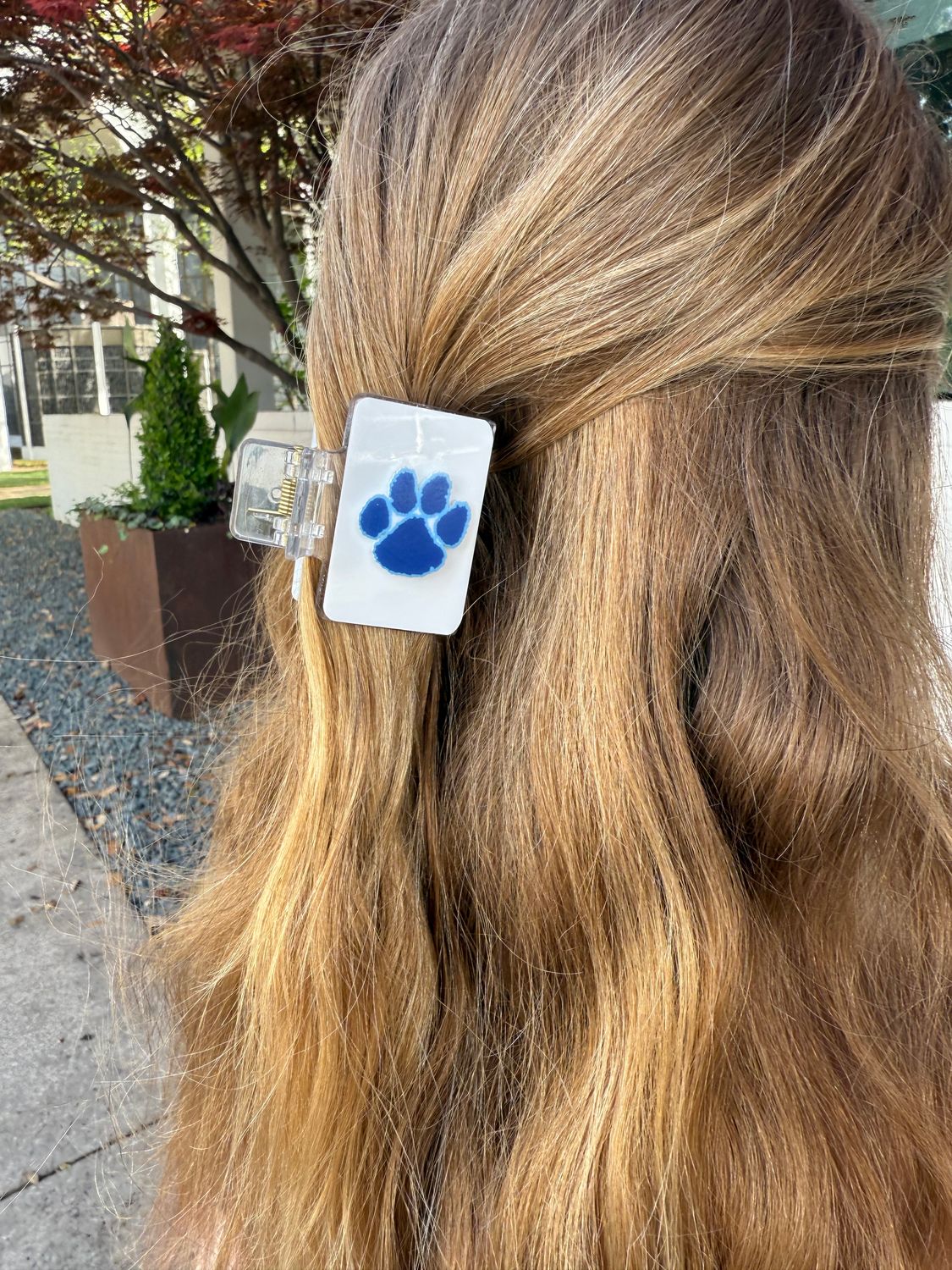 SS Paw Claw Clip