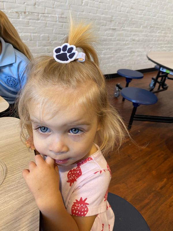 SS Hair/Shoe/Bow Paw Clip