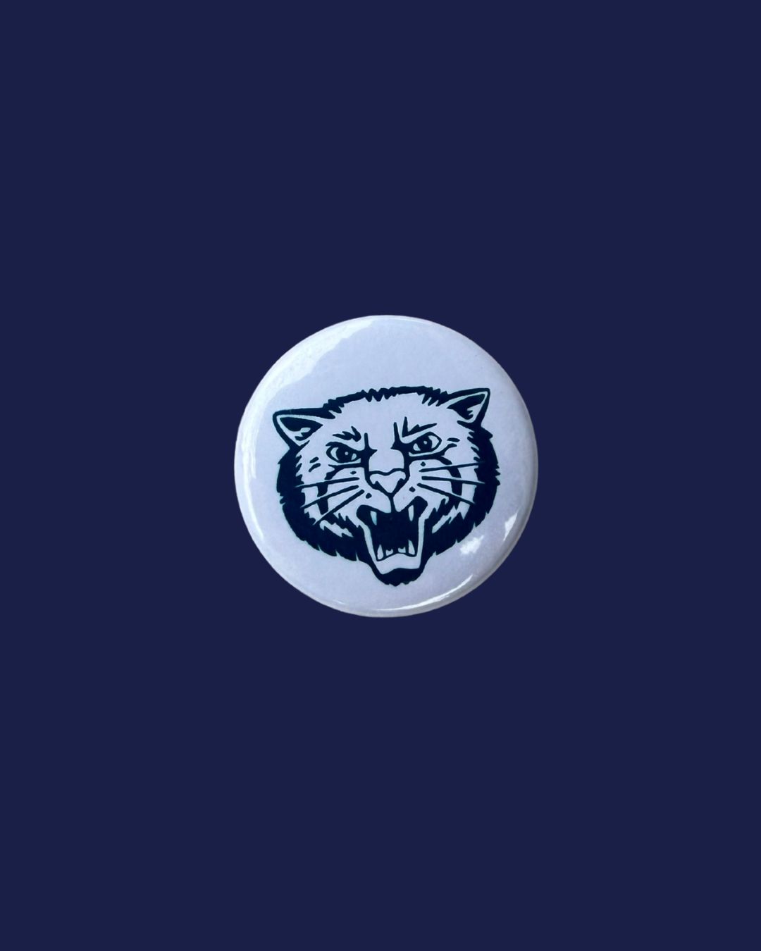 SS Bearcat Pin