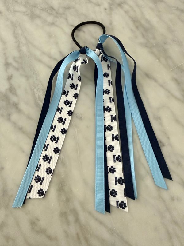 SS Ponytail Holder