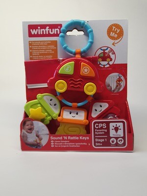 Lavinamasis žaislas - automobilio rakteliai "Winfun"