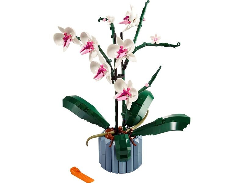 LEGO Botanical 10311 - Orchidee