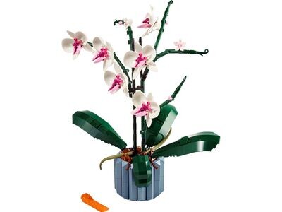 LEGO Botanical 10311 - Orchidee