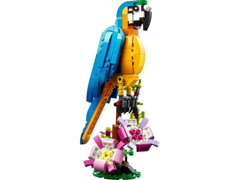 Creator Exotic Parrot - 31136