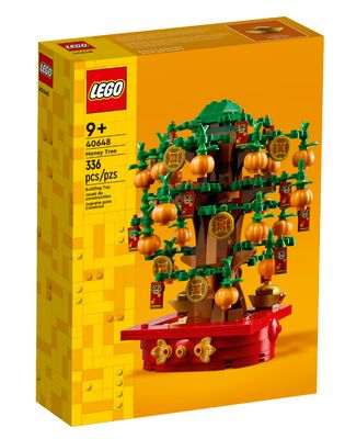 Money Tree - 40648