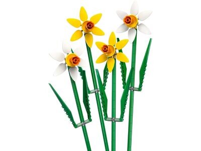 LEGO Botanical 40747 - Daffodils