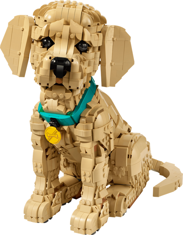 LEGO Icons 11384 - Golden Retriever Puppy