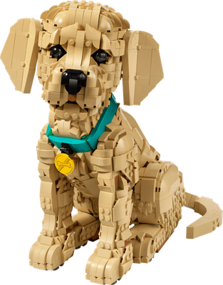 LEGO Icons 11384 - Golden Retriever Puppy