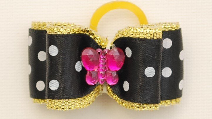 Polka Dot with gold band