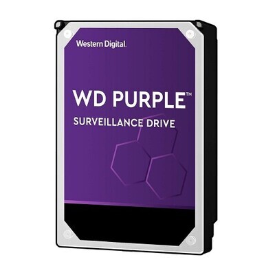 Western Digital 1TB WD Purple Surveillance.