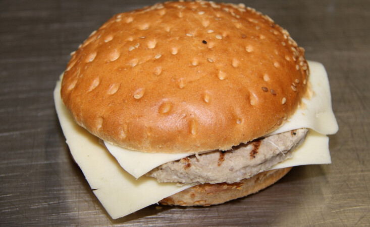 Hamburger di Bovino