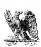 Adhésion couple 