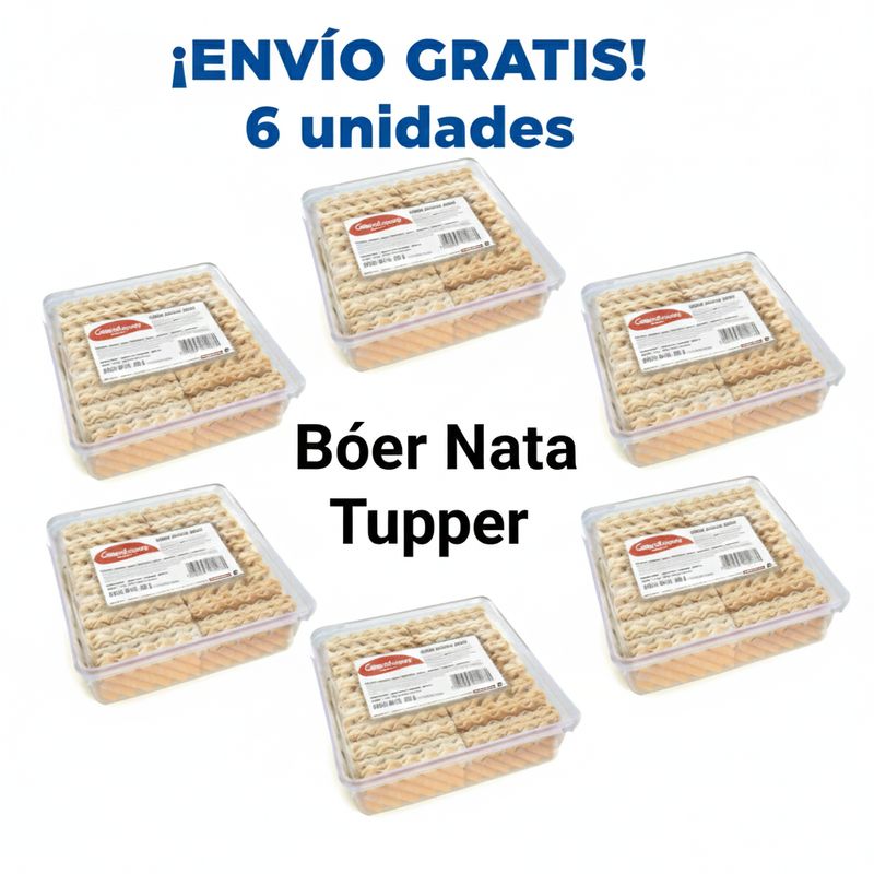 6 Tupper Barquillo de nata 400 gr Garcinuez