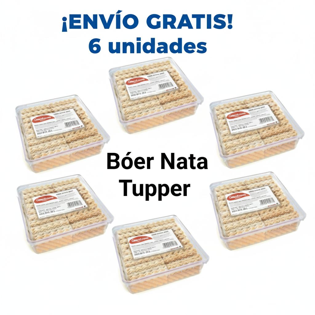 6 Tupper Barquillo de nata 400 gr Garcinuez