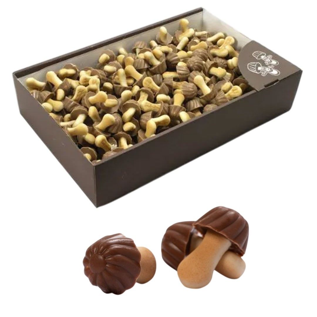 Setitas de galleta con chocolate negro caja de kilo