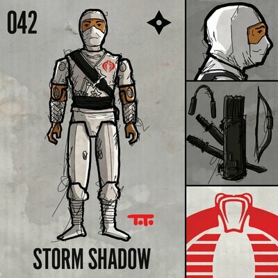 G365 SQ-042 STORM SHADOW v1
