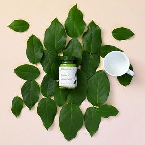 TeGreen 97 (120ct)