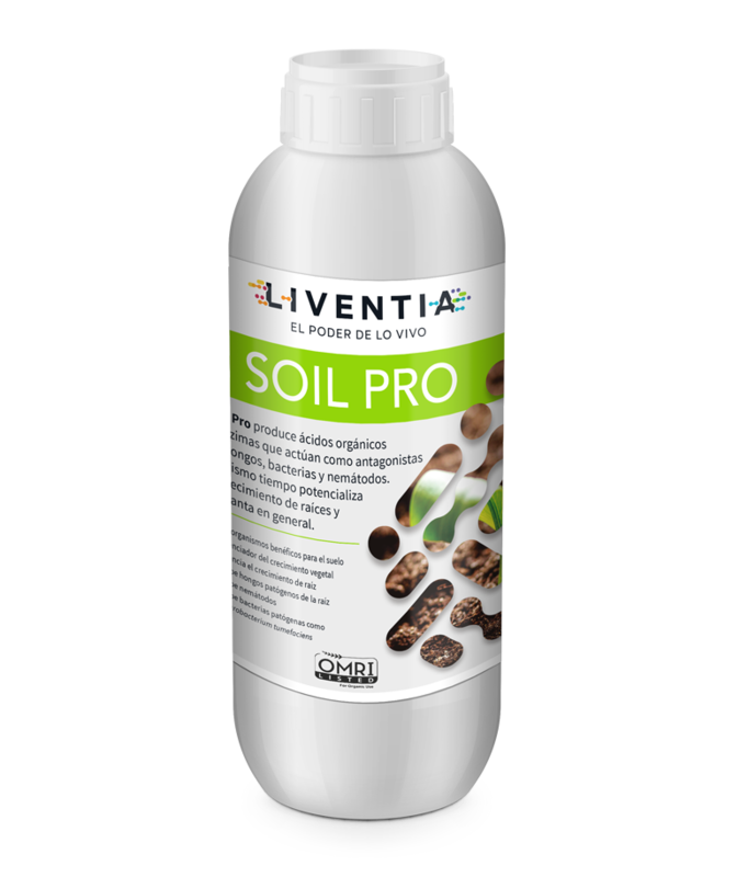 Soil Pro Enraizador Lt