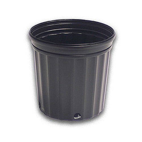 Maceta Elite 400 negra 75/atado