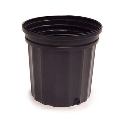 Maceta Elite 300S negra 60/atado