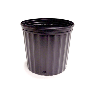 Maceta Elite 600 Negra 60/atado