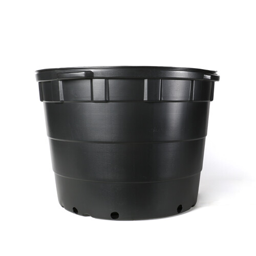 Maceta #25 Haviland negra