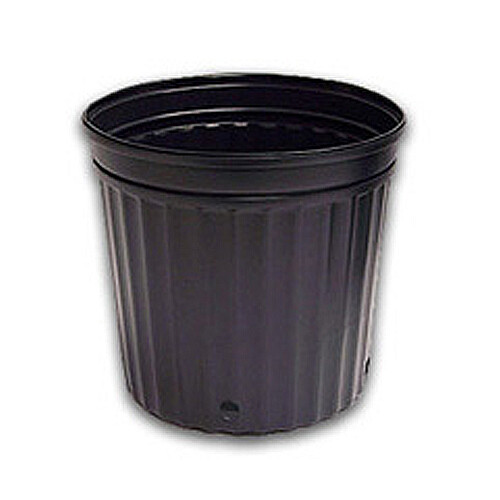 Maceta Elite 2000 Negra 50/atado