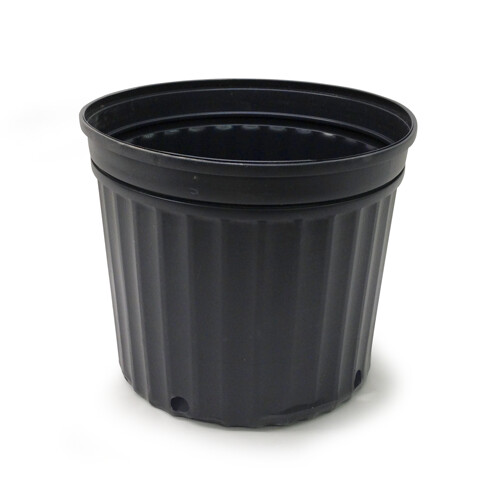 Maceta Elite 1600 Negra 50/atado