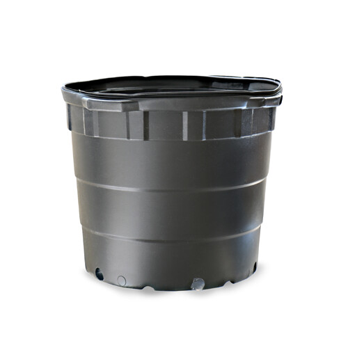 Maceta Haviland #10 negra