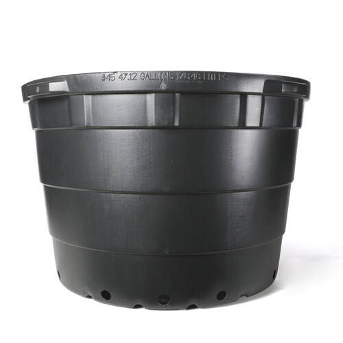 Maceta #45 Haviland negra