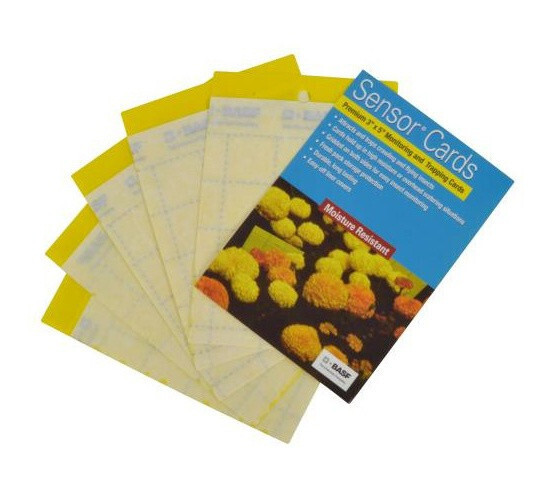 Trampas para Insectos color Amarillo 50/pq.