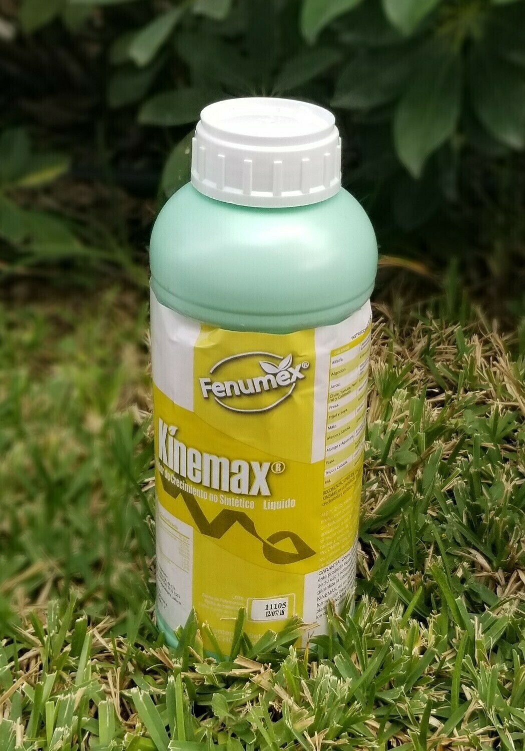 Kinemax 1Lt