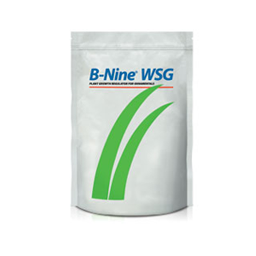 B-nine  1lb
