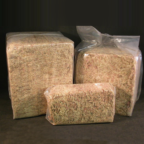 Sphagnum Moss para germinación 99 lt.