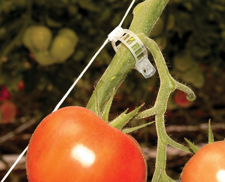 Anillos para Tomate 23mm Paska | Soporte Agrícola Profesional