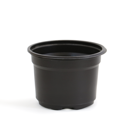 Maceta Termo 6&quot; Negra 300/paquete