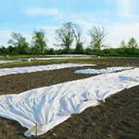 Tela Antiheladas 15&#39;x300&#39;