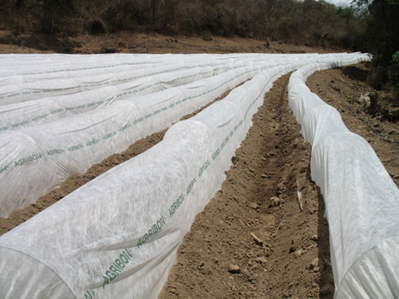 Agribón 2.10 x 1000m
